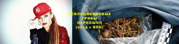 соль курить ск Белокуриха