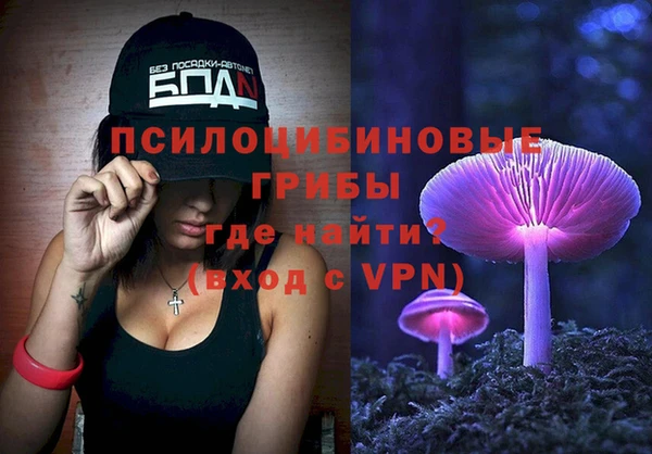 соль курить ск Белокуриха