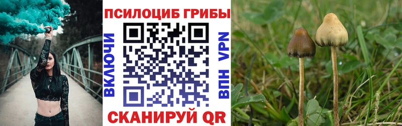 Псилоцибиновые грибы Psilocybine cubensis  shop как зайти  Вельск 